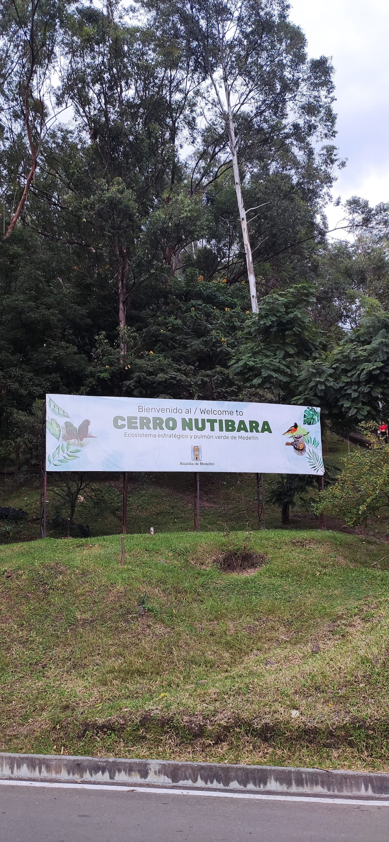 Atmósfera del Parque de Esculturas - Cerro de Nutibara Sculpture Park, Medellín